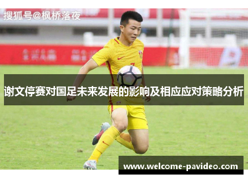 谢文停赛对国足未来发展的影响及相应应对策略分析