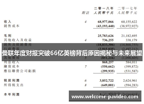 曼联年度财报突破66亿英镑背后原因揭秘与未来展望