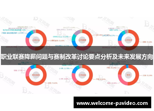 职业联赛降薪问题与赛制改革讨论要点分析及未来发展方向