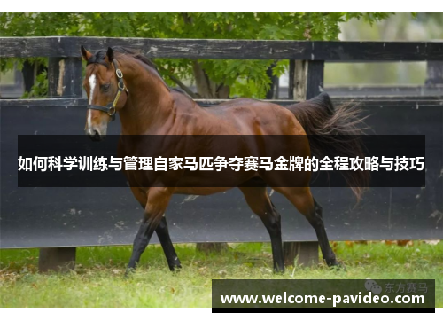 如何科学训练与管理自家马匹争夺赛马金牌的全程攻略与技巧