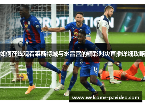 如何在线观看莱斯特城与水晶宫的精彩对决直播详细攻略