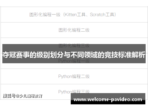 夺冠赛事的级别划分与不同领域的竞技标准解析