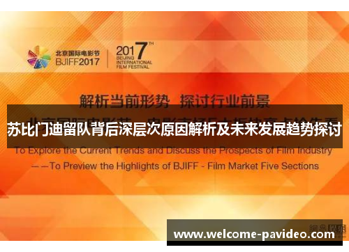 苏比门迪留队背后深层次原因解析及未来发展趋势探讨