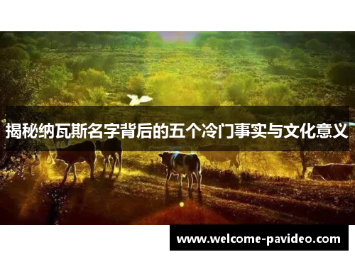 揭秘纳瓦斯名字背后的五个冷门事实与文化意义