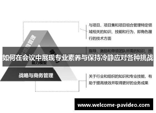如何在会议中展现专业素养与保持冷静应对各种挑战
