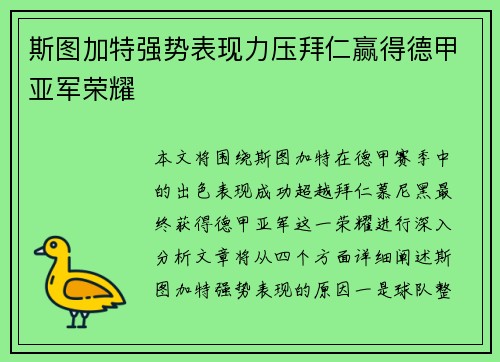 斯图加特强势表现力压拜仁赢得德甲亚军荣耀